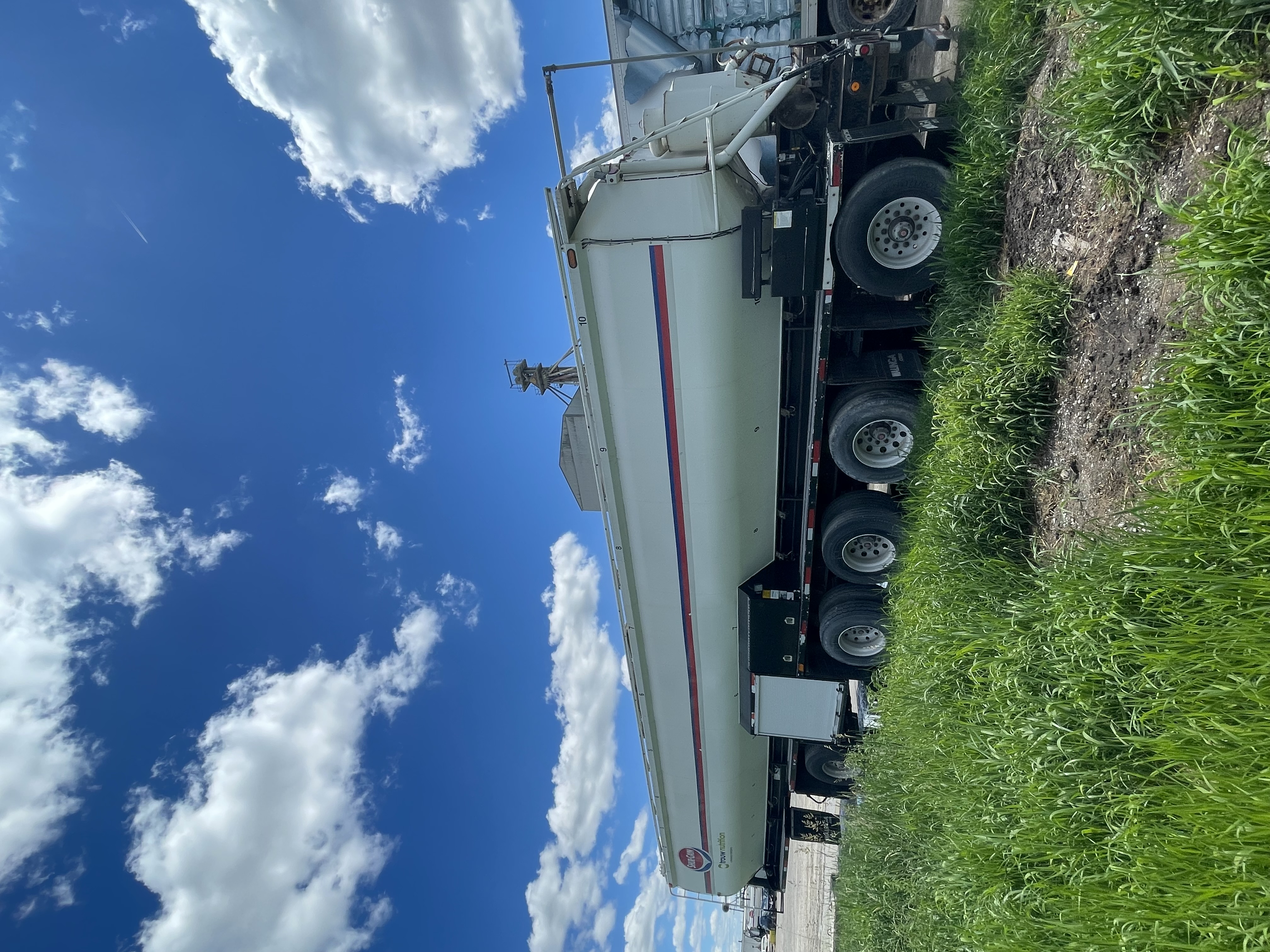 Walinga image